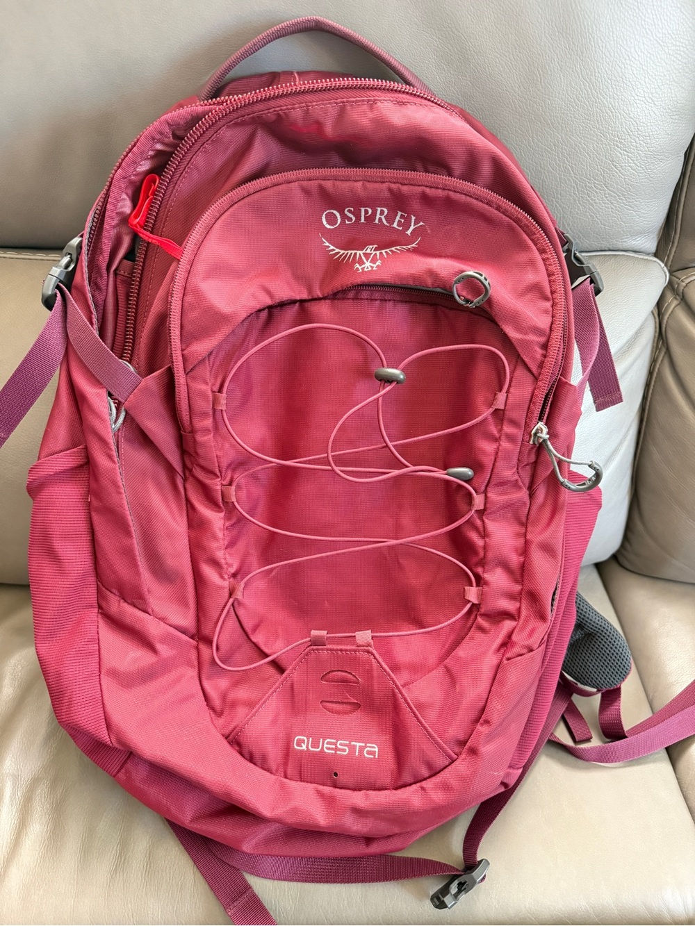 Osprey Questa Backpack (with laptop sleeve)